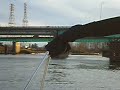 Under the Pitt River Bridge