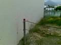 mad molluscs in Galaxidi - May 20, 2008, 10:10 AM