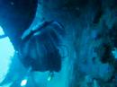 wreck dive/5