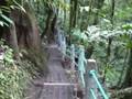 Arenal hanging bridges and Fortuna (Costa Rica)