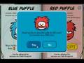 How to adopt 12 puffles without being a member (red or blue)