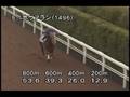 videos de [調教] 081008 トーホウアラン 「京都大賞典」前追い切り
