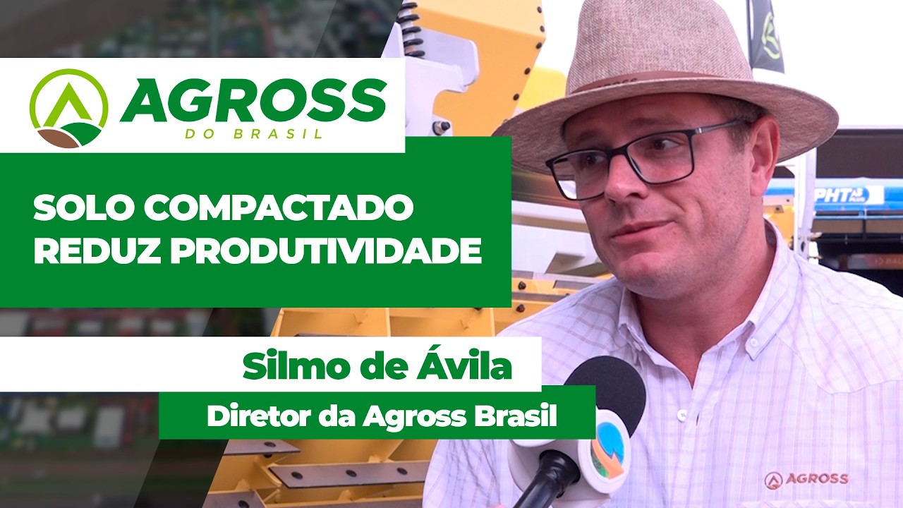 Solo compactado reduz produtividade e deixa lavoura mais suscetível à seca e à erosão