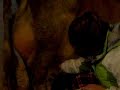 Me milking a cow