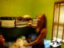 dancinggg-p