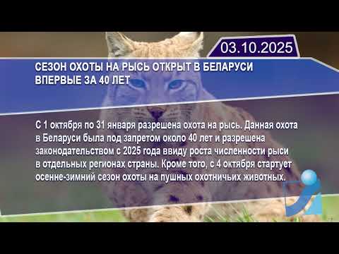 Новостная лента Телеканала Интекс 03.10.25.