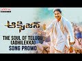 The Soul Of Telugu Song Promo | Oxygen