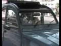 Cruising in de Eend