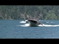 I liked a @YouTube video http://t.co/XRaAHo0b Chelan poker run 2011)