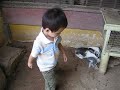 Sam Petting Rabbits