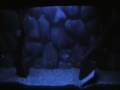 DIY Aquarium Moonlight Idea #1