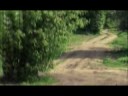 Ograniczenia prędkości ratują życie -