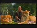 Lion / Tigre = Liger Lion / Tigre = Liger