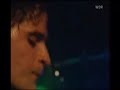 Interpol - Specialist Sub Español