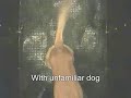 Dog: If you\ Dog: If you\