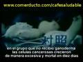 Investigacion sobre ganoderma