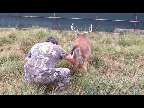 how to harvest urine