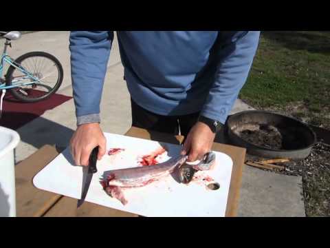 how to properly gut a trout