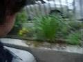 la marazuela skate