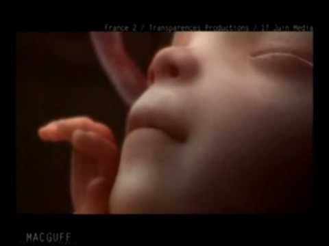 Image de prévisualisation YouTube