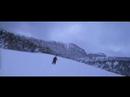 Downtown Polar