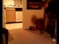 videos de Impressive kick by Corey