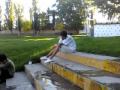 video jocoso del GALLO:YouTube������=29��