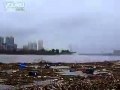 2010吉林市，永吉县上游爆发洪水,冲下了好多猪,自来水厂也垮了