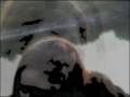 videos de as spring turns to summer..