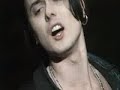 Suede - Animal Nitrate