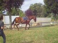 Oslo en pessoa 2 !