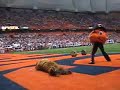 Otto the Orange fights the Nittany Lion Otto the Orange fights the Nittany Lion
