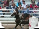 Barrel Racing