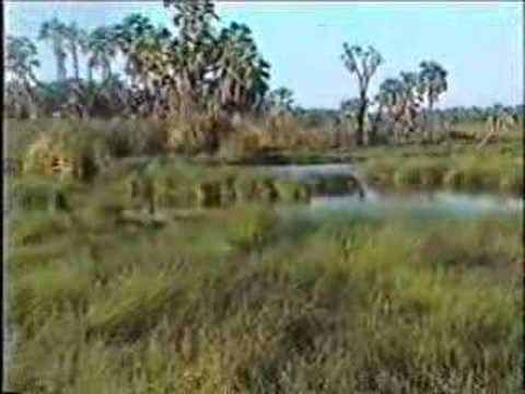 Awash Park - Ethiopia