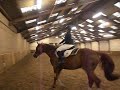 Hippeia YouTube channel