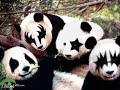 animales-muy-divertidos.html