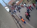 Toro enmaromado Toro enmaromado