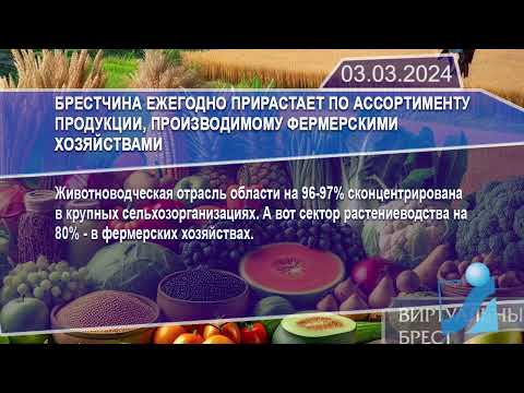 Новостная лента Телеканала Интекс 03.03.24.