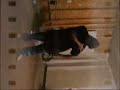 Soul Crew juss messin around Soul Crew juss messin around