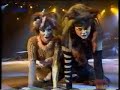 Macavity Czech