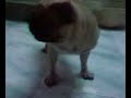 Sadie\