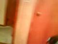 videos de Tickle me Micah