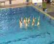 Equipe Stade Français Natation Synchronisée N1 junior 2008