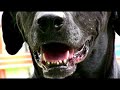 Canon HV20 Outdoor Sample Footage v2 Canon HV20 Outdoor Sample Footage v2