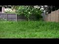 Canon HV20 Outdoor Sample Footage v2