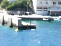 Zavalatica.