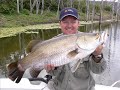TROPIC ANGLER LURES TA Floater  TA Poddy 2009