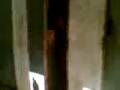 naliligo c barya