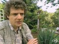 Oregon Field Guide | Vaux Swifts | OPB