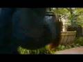 Kit Kittredge: An American Girl - Official Trailer